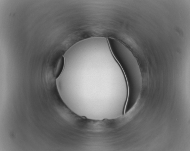 X0000114230186200910091336
