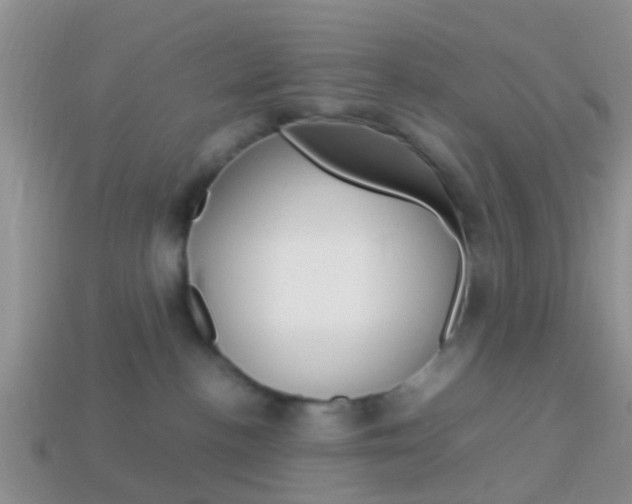 X0000114230188200910091336