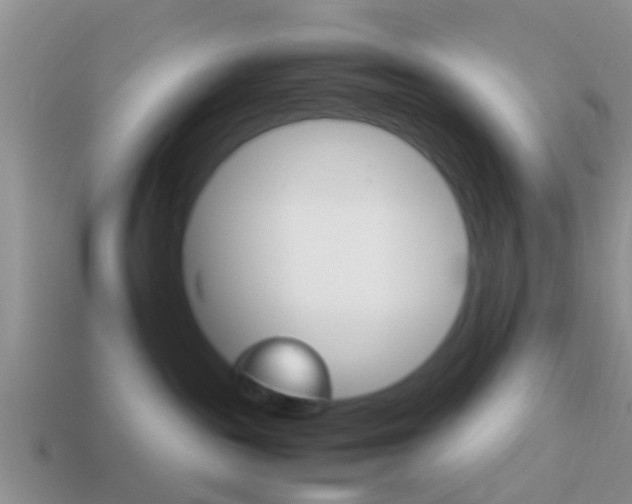 X0000114230189200910091336