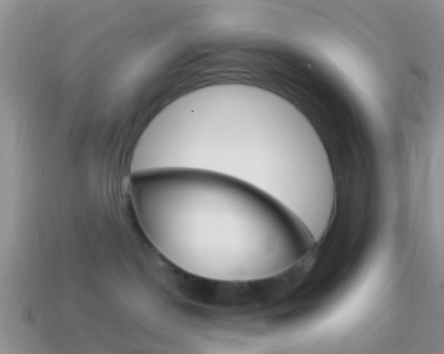 X0000114230190200910091336
