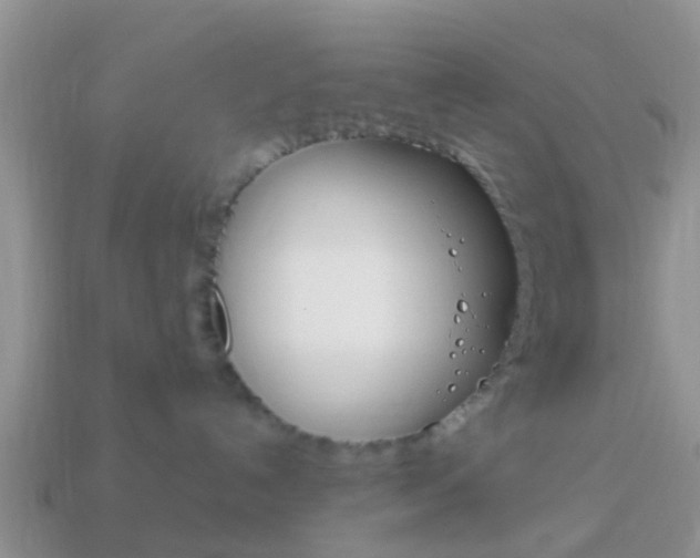 X0000114230192200910091336
