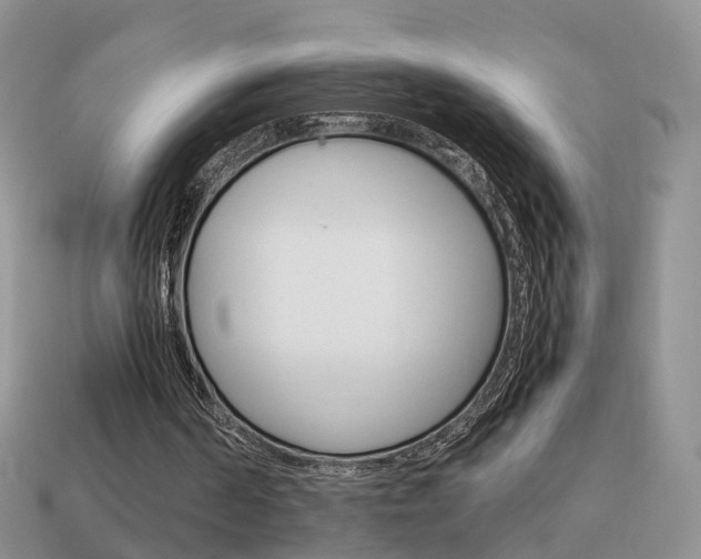 X0000114230194200910091335