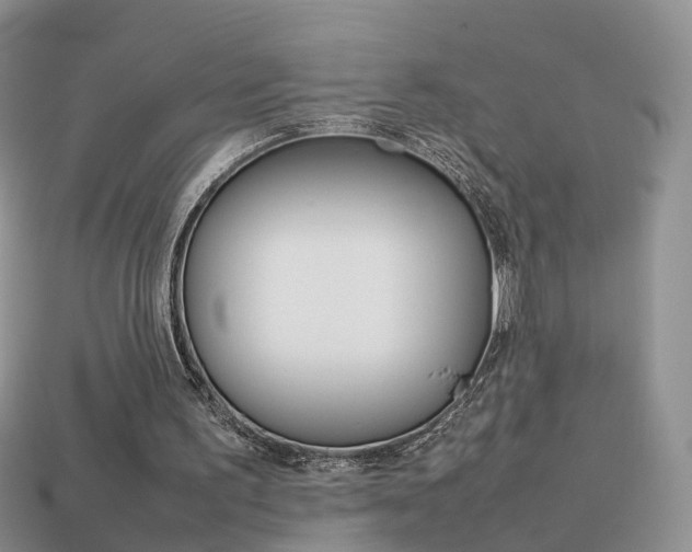 X0000114230195200910091335