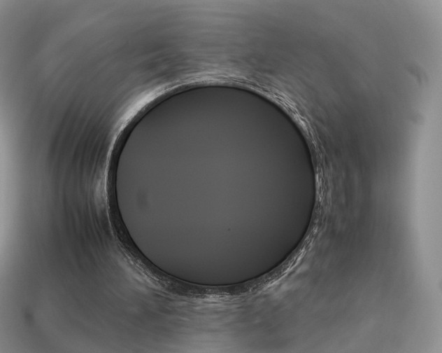 X0000114230196200910091335