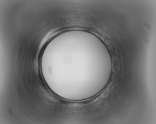 X0000114230198200910091335