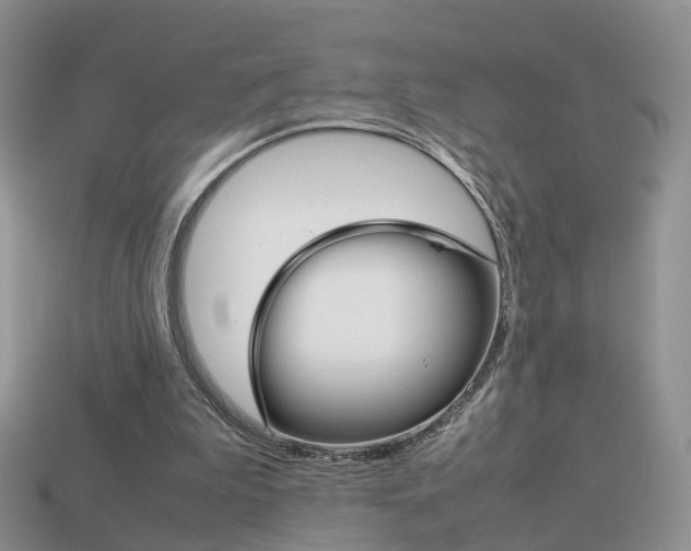 X0000114230199200910091335