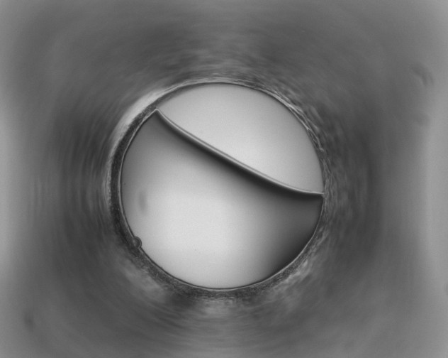 X0000114230200200910091335
