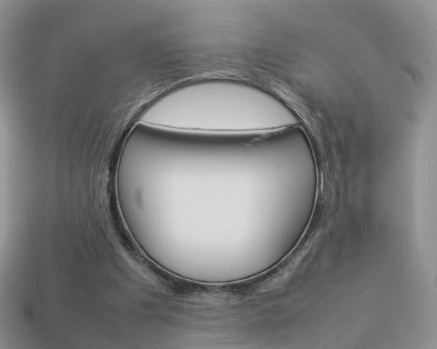 X0000114230201200910091335