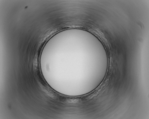 X0000114230202200910091335
