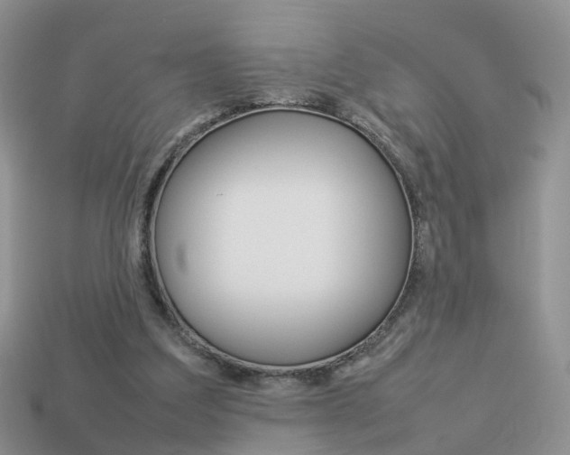 X0000114230203200910091335