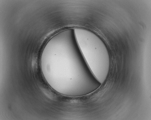 X0000114230204200910091335