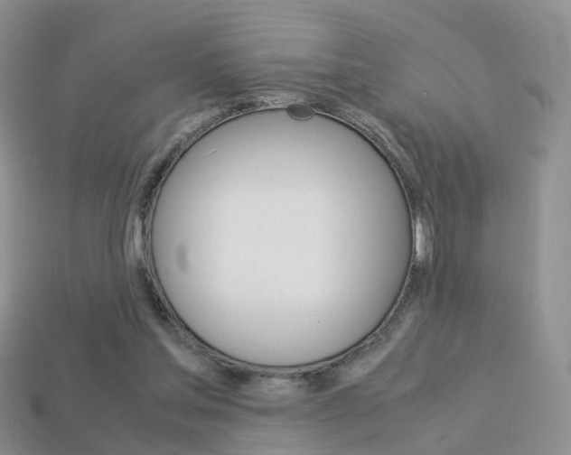 X0000114230205200910091335