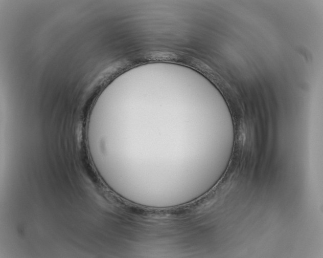 X0000114230206200910091335