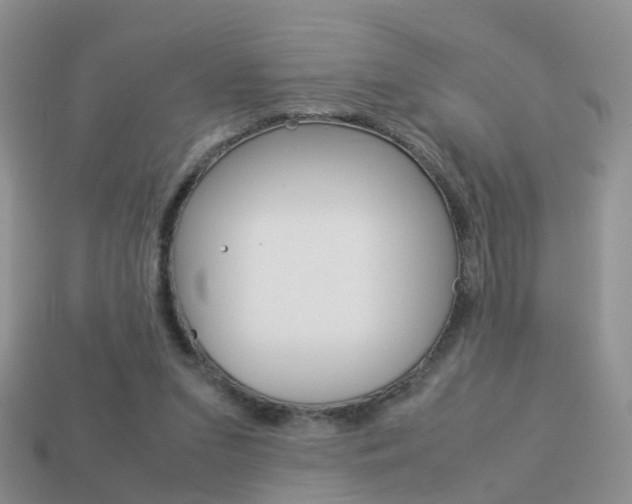 X0000114230207200910091335