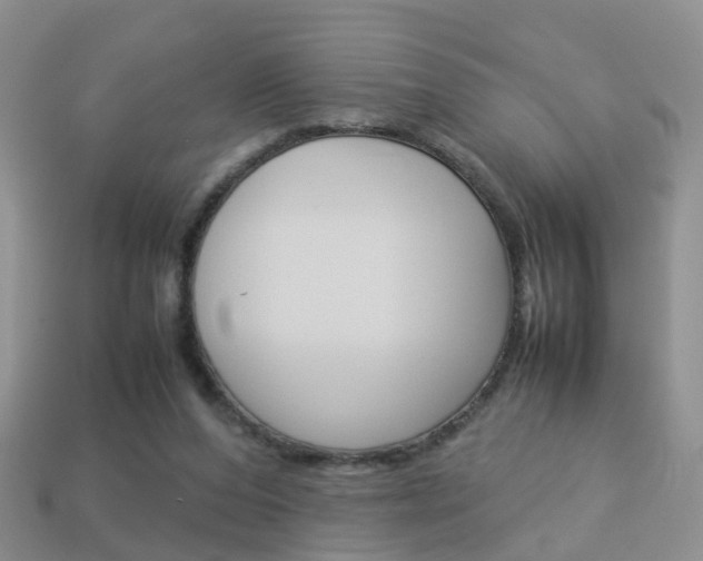 X0000114230208200910091335