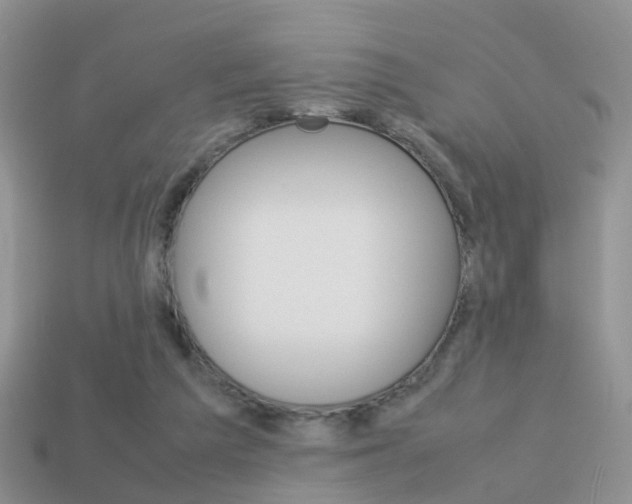 X0000114230209200910091335