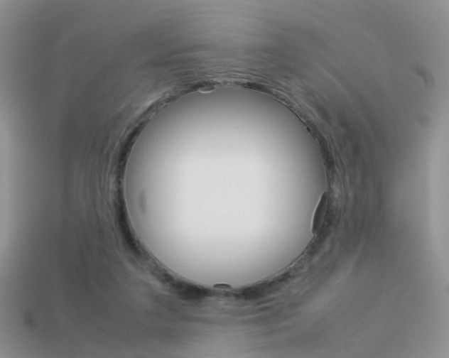 X0000114230211200910091335