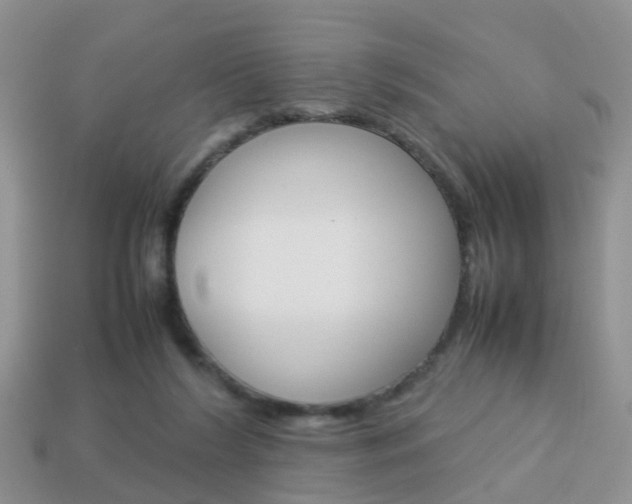 X0000114230212200910091335