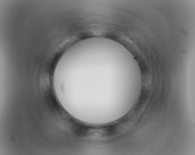 X0000114230213200910091335