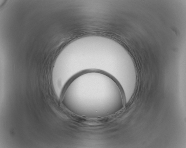 X0000114230215200910091335