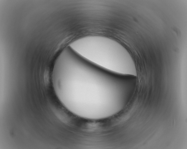 X0000114230216200910091335