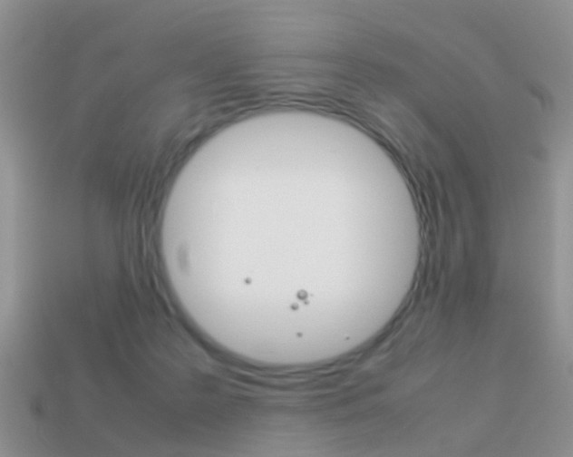 X0000114230219200910091335