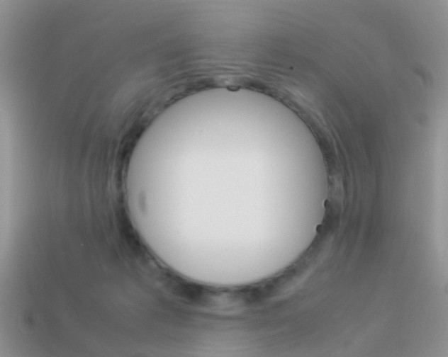 X0000114230221200910091335