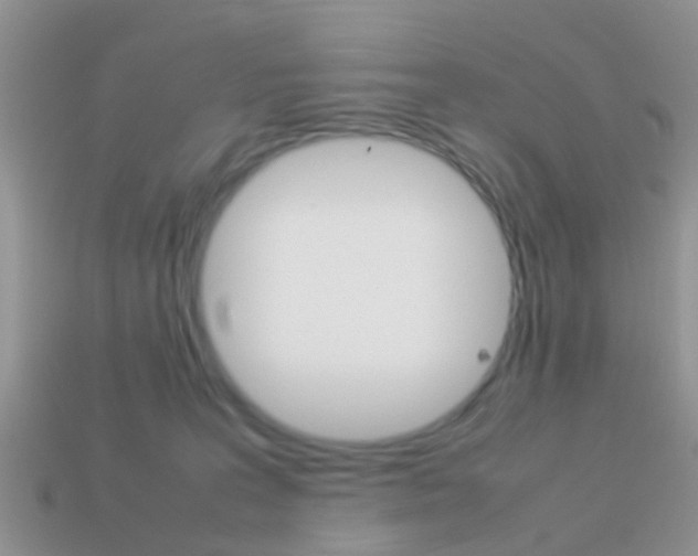 X0000114230227200910091335