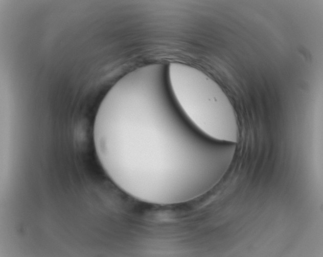 X0000114230228200910091335