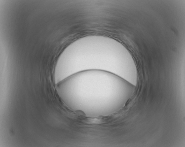 X0000114230233200910091335