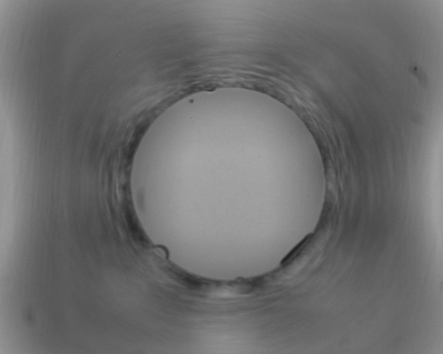X0000114230235200910091335