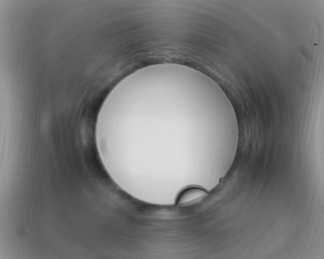 X0000114230236200910091335