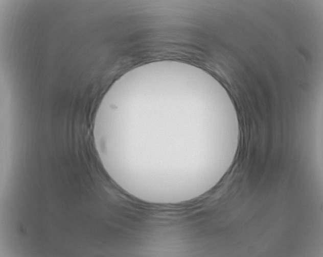 X0000114230237200910091335
