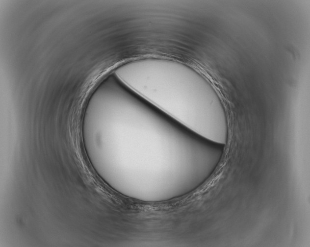 X0000114230241200910091334