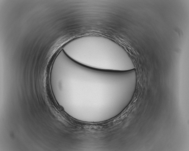 X0000114230242200910091334