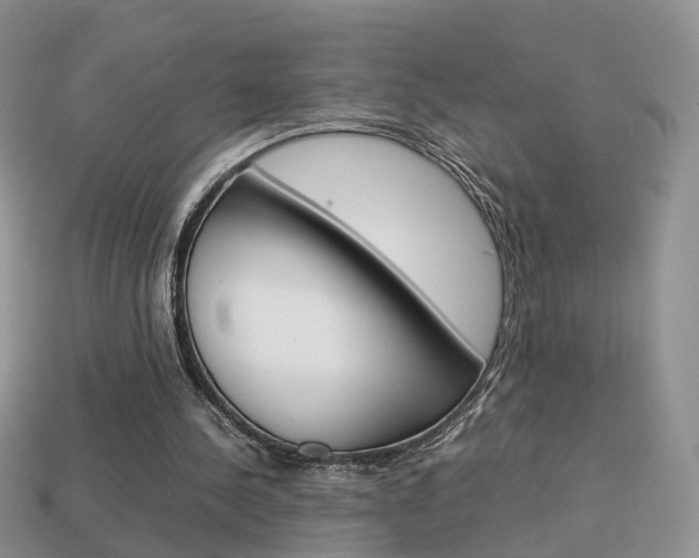 X0000114230244200910091334