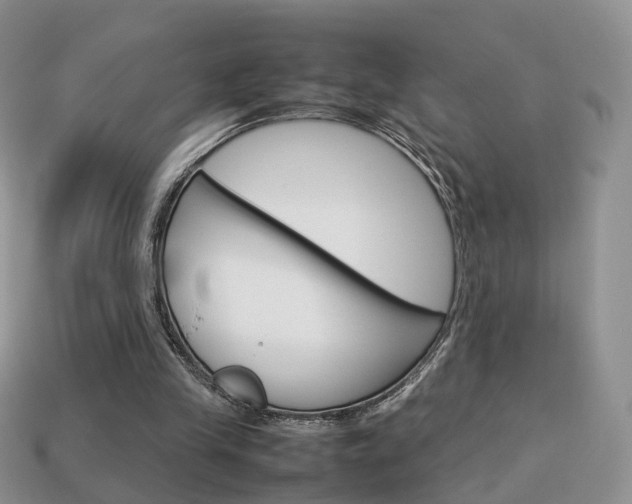 X0000114230245200910091334