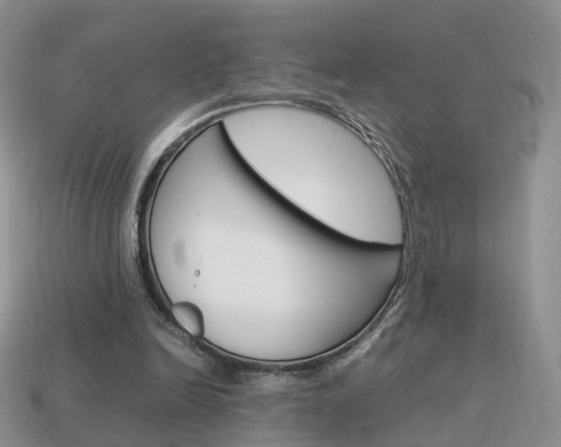 X0000114230246200910091334