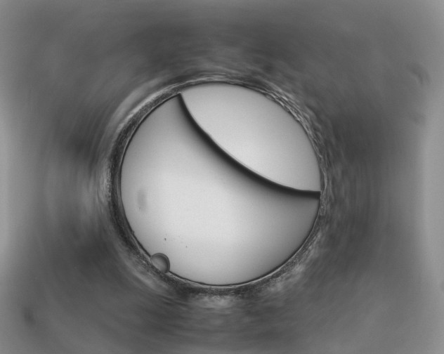 X0000114230247200910091334