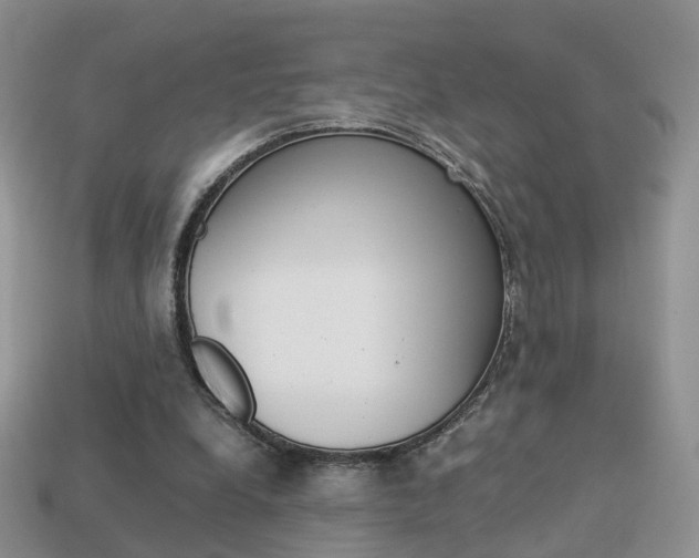 X0000114230248200910091334
