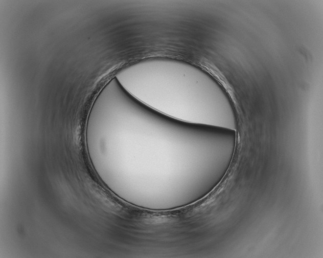 X0000114230249200910091334