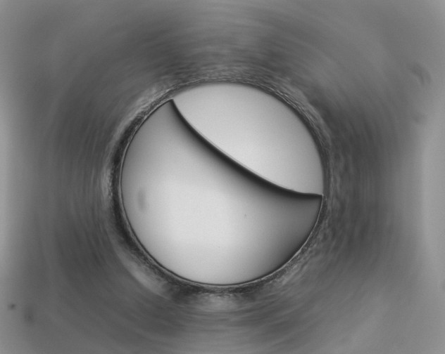 X0000114230250200910091334