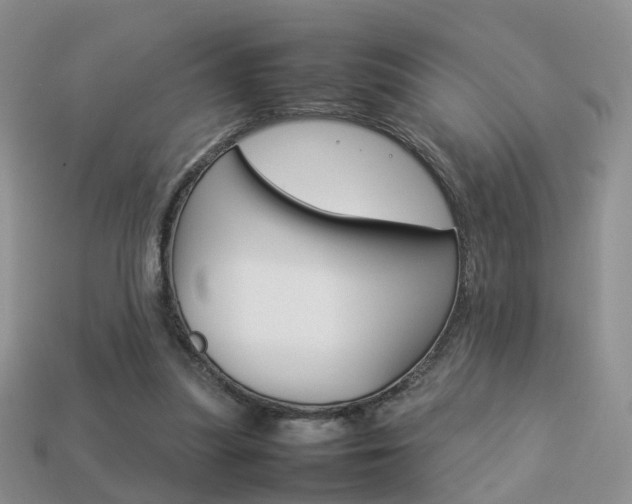 X0000114230251200910091334