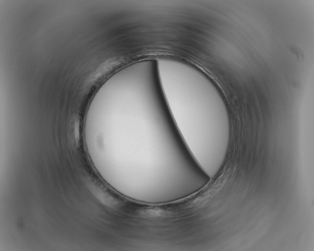 X0000114230253200910091334