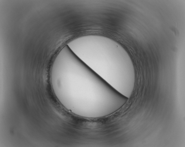 X0000114230255200910091334