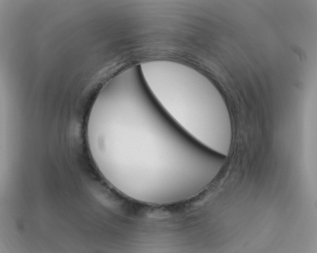 X0000114230258200910091334