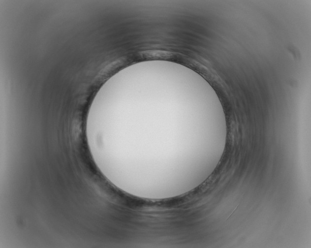 X0000114230259200910091334