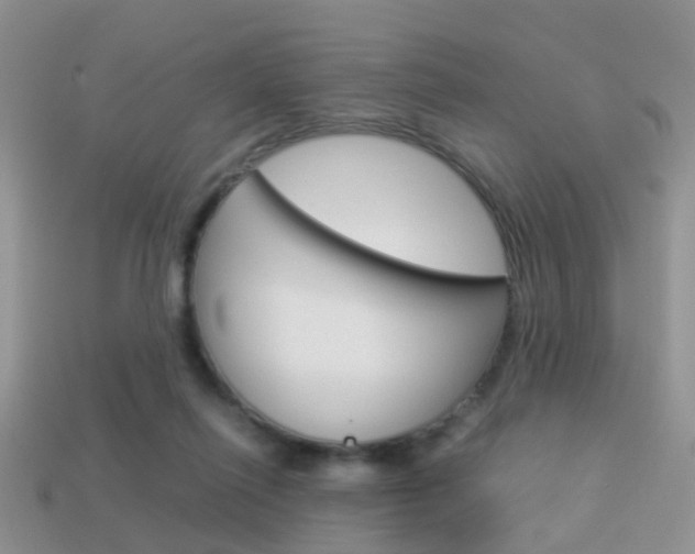 X0000114230262200910091334