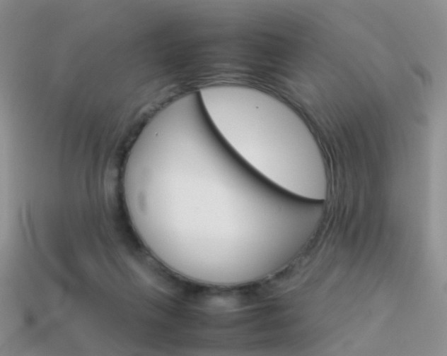 X0000114230263200910091334