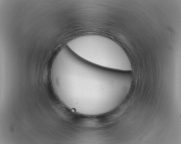 X0000114230266200910091334